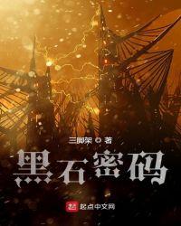黑石密码全本TXT