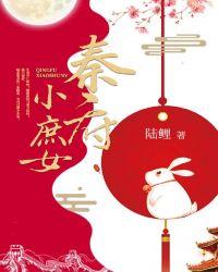 秦府小庶女 作者陆鲤